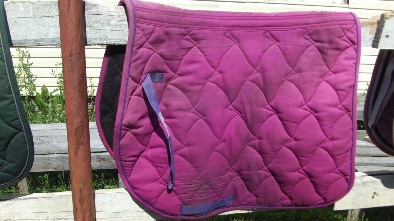 Копия GEDC1548.JPG