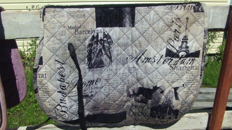 Копия GEDC1550.JPG