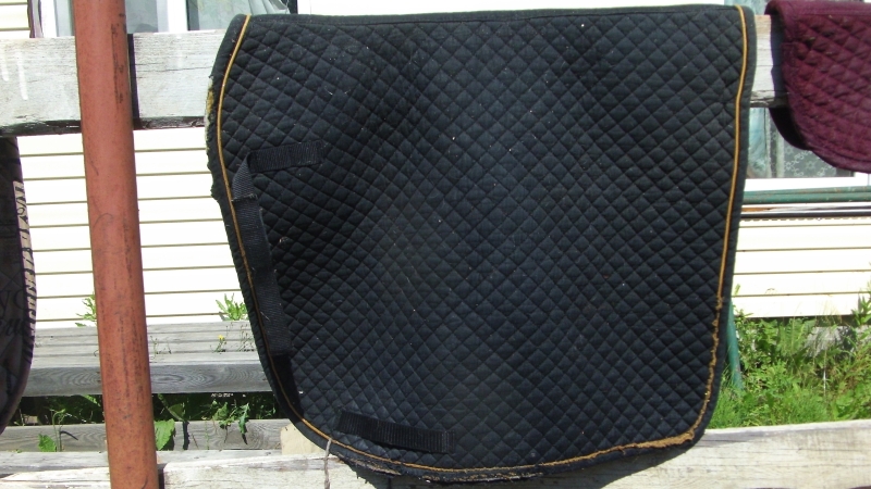 Копия GEDC1552.JPG