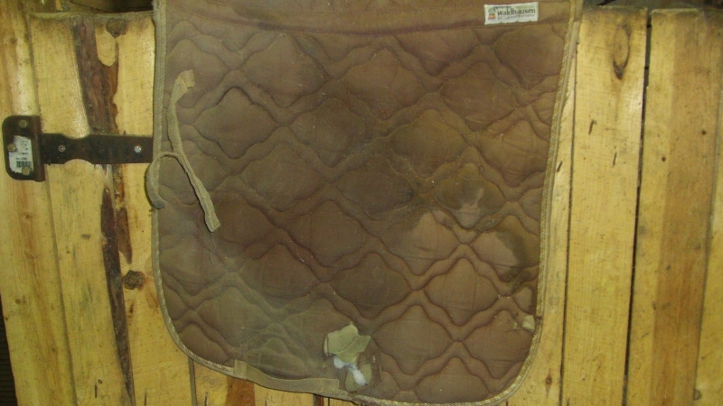 Копия GEDC1554.JPG