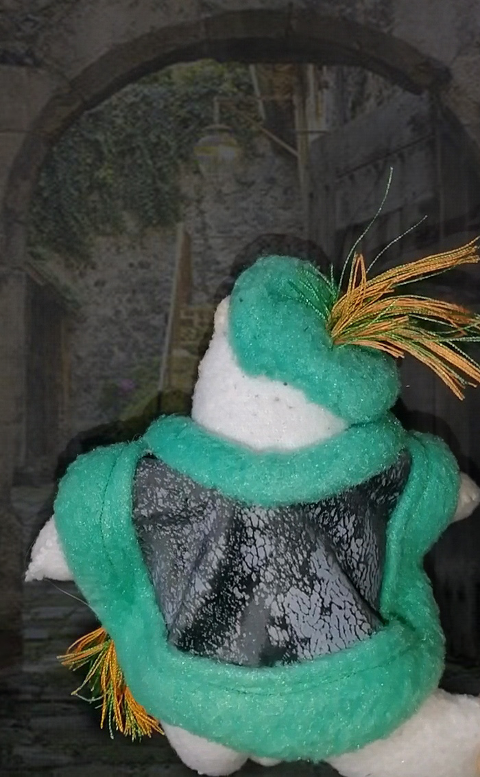 котик гарольд 3.jpg