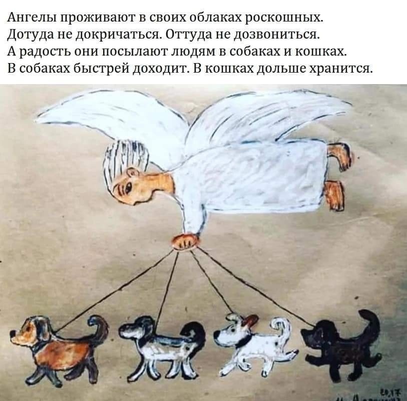 kQWcNKfs79o.jpg