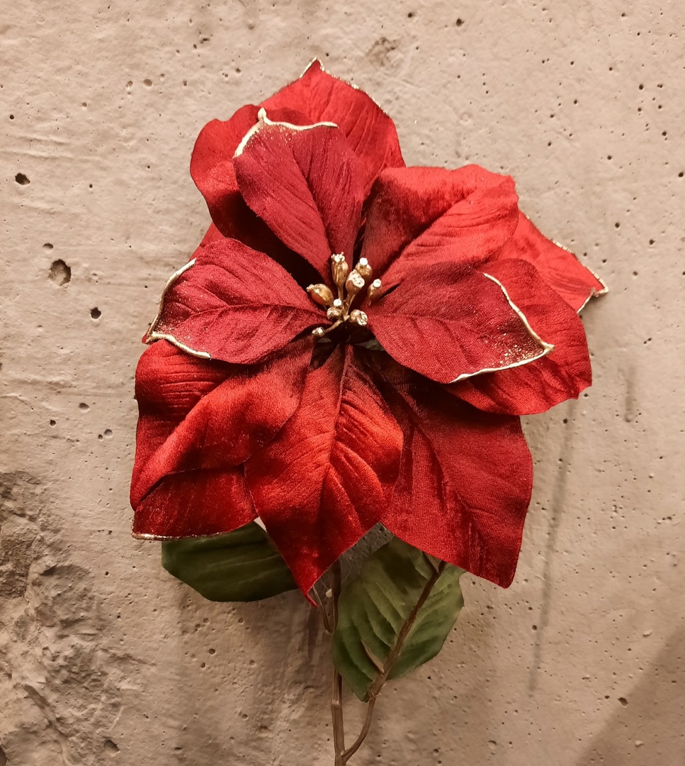 красная пуансеттия.jpg