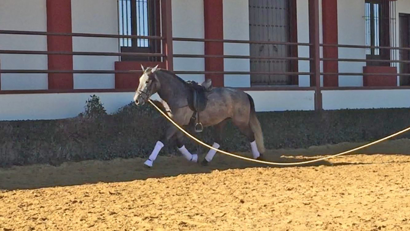 Lactanus 01.21 (6).jpeg