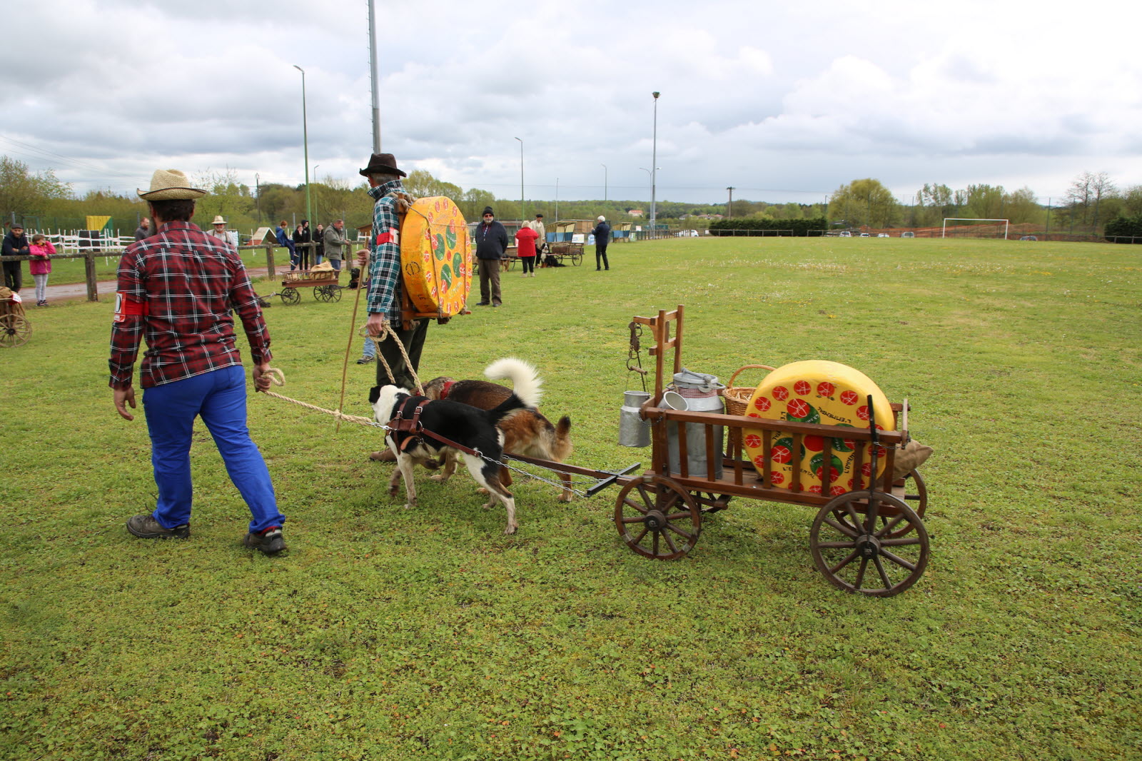 le-concours-d-attelage-s-est-tenu-les-27-et-28-avril-au-club-canin-de-ham-sous-varsberg-photo-...jpg
