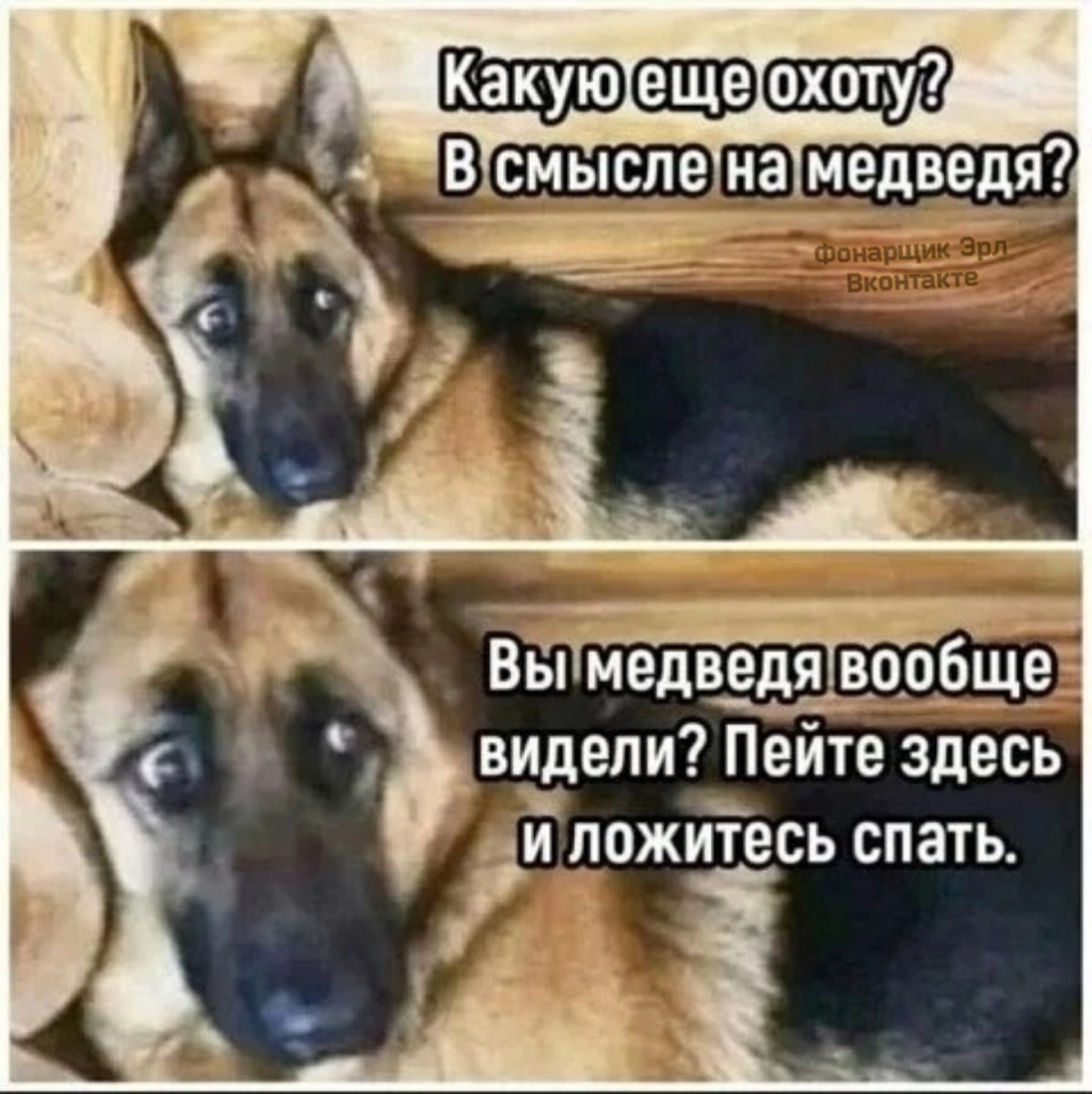 lH4X0LPVnp0.jpg