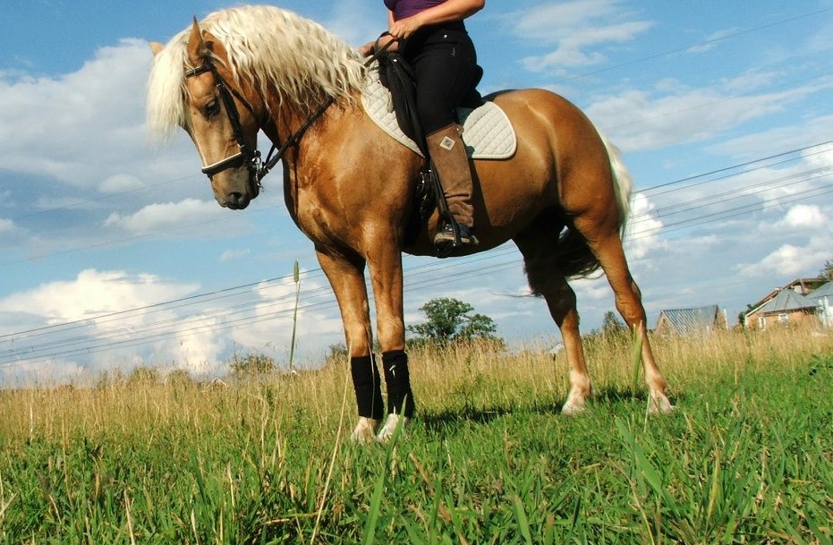 Ликер в работе 2012.jpg