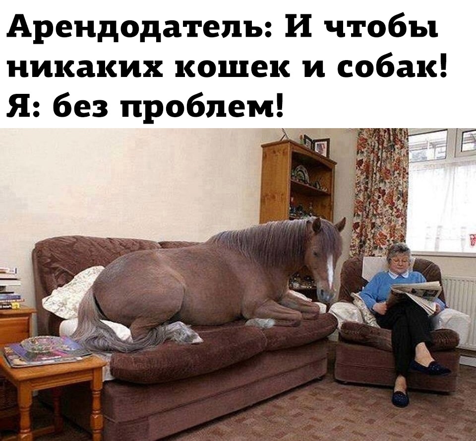 Lle6vYiC6GQ_7VHku-ChoOyiPpkXB3vE-YEZvw18VxC-4z1xE6mkLTosP1uytSNbsBIjtlIZIVeUmxtfbGKsYOFy.jpg