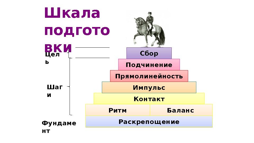 loshady_dlya_vyezdki_–_kakaya_ona_dolghna_byty_32.jpg