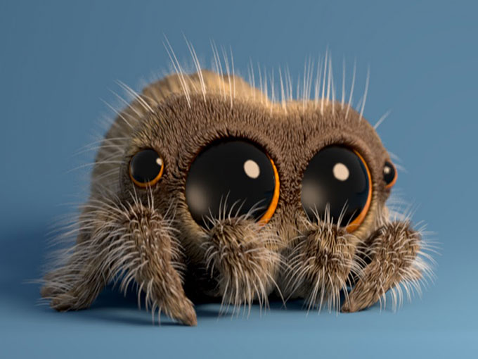 lucasthespider.jpg