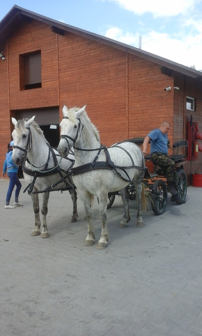 луна и кукла 3.jpg