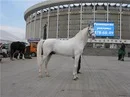 m_87af21d0.webp