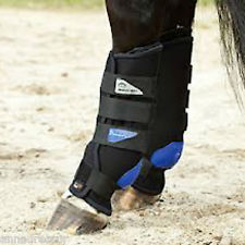 магнитные MAGNETIK ST.BOOT EVO Rear, Veredus.jpeg