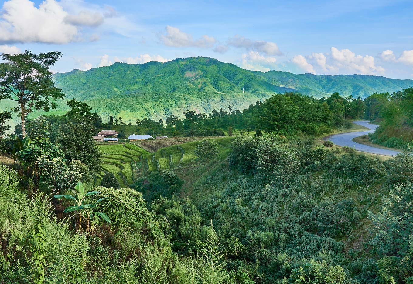 manipur-head.jpg