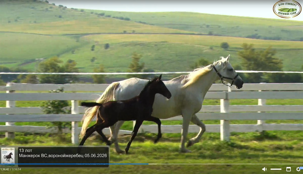 Манжерок.jpg