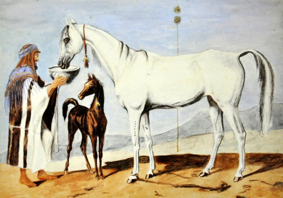 Mare Sahara with foal (1844.jpg