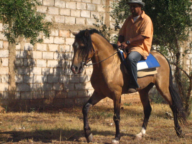 Maroc2007-2eS-A18-N9N1110.jpg