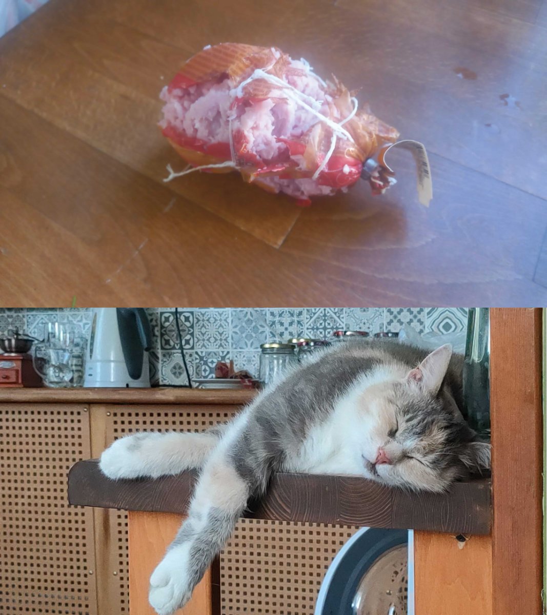 марта.jpg