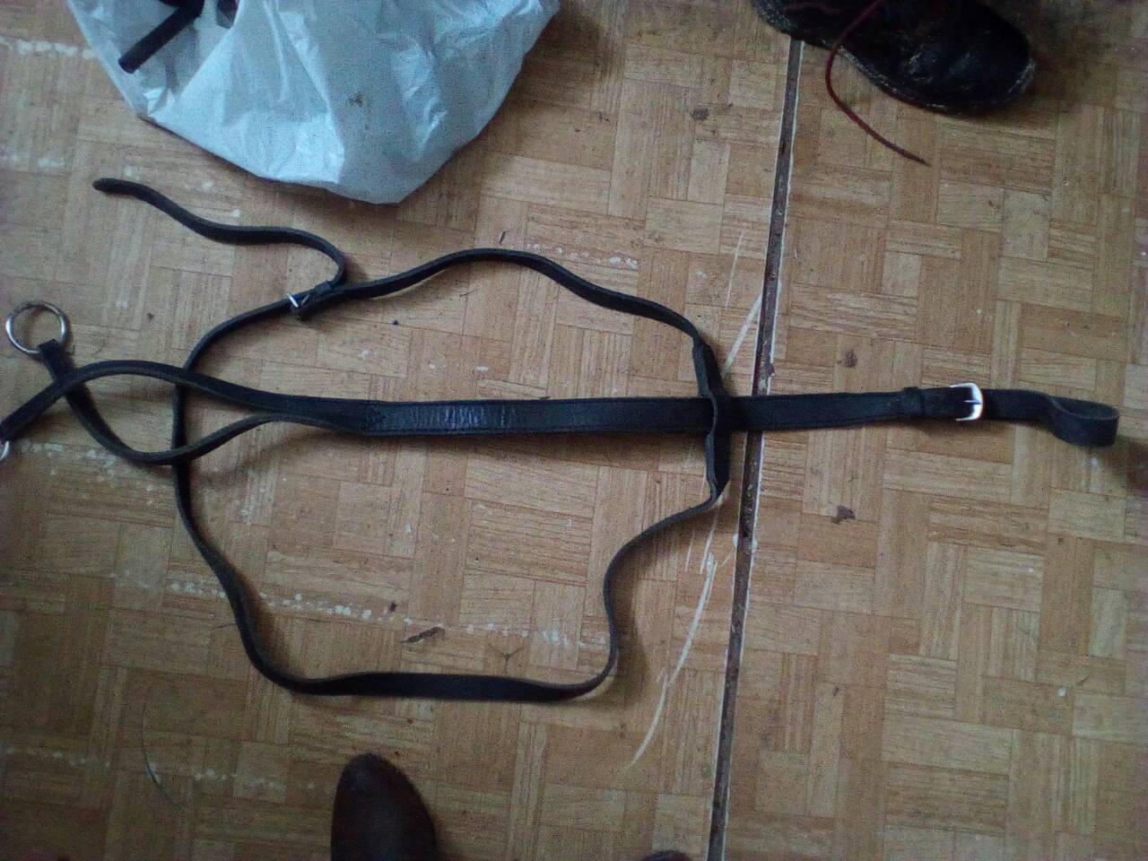 мартингал.jpg