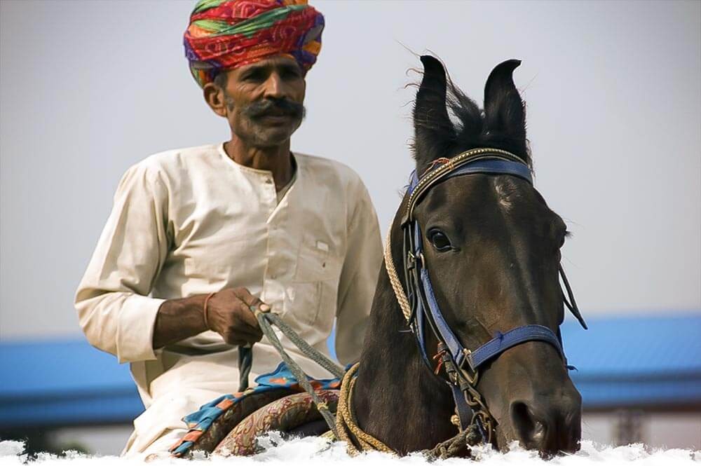 marwari-edito-ok-blog-cheval-aventure.jpg