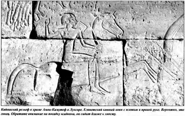 mb00008450egypt-17.png