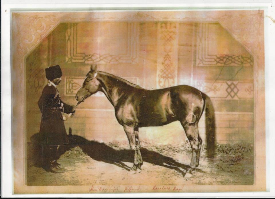 Меймун зол-гн. 1864 г. зав. Мехти-Кули хана Карабахского.jpg