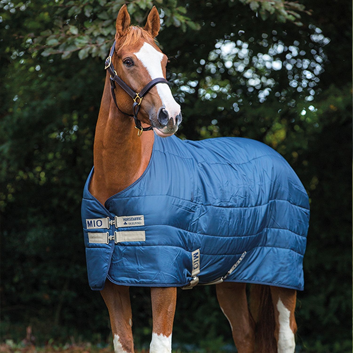 mio-insulator-300gr-horseware.jpg