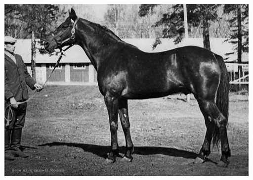 Mix Hanover 1955 г.jpg