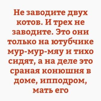 mlkhp0xyQ-o.jpg