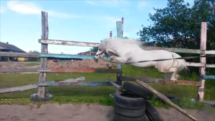 Моментальный снимок 1 (07.07.2018 19-28).png