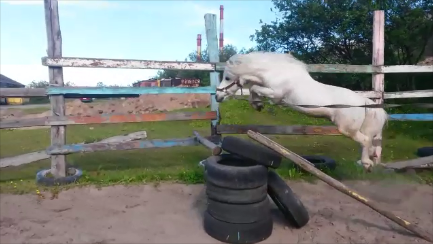 Моментальный снимок 2 (07.07.2018 19-39).png