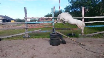 Моментальный снимок 3 (07.07.2018 20-21).png