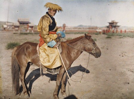 Монгольская-лошадь.jpg