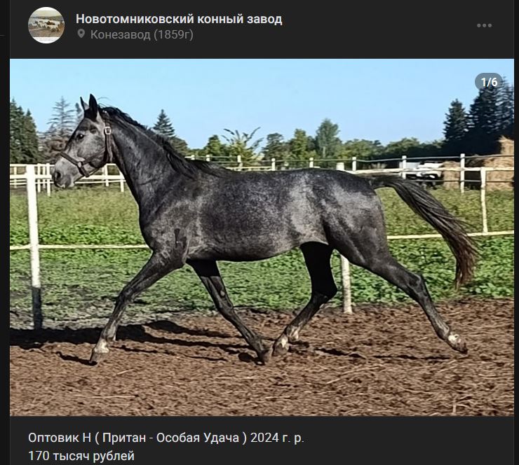 Н2.JPG