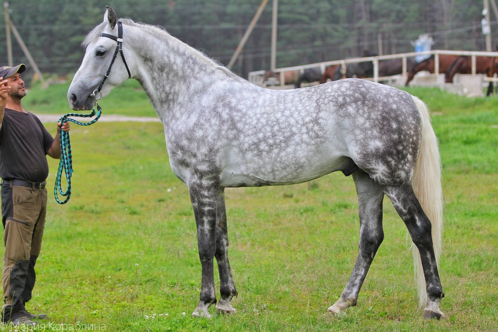 n4x_K9ywCrU.jpg