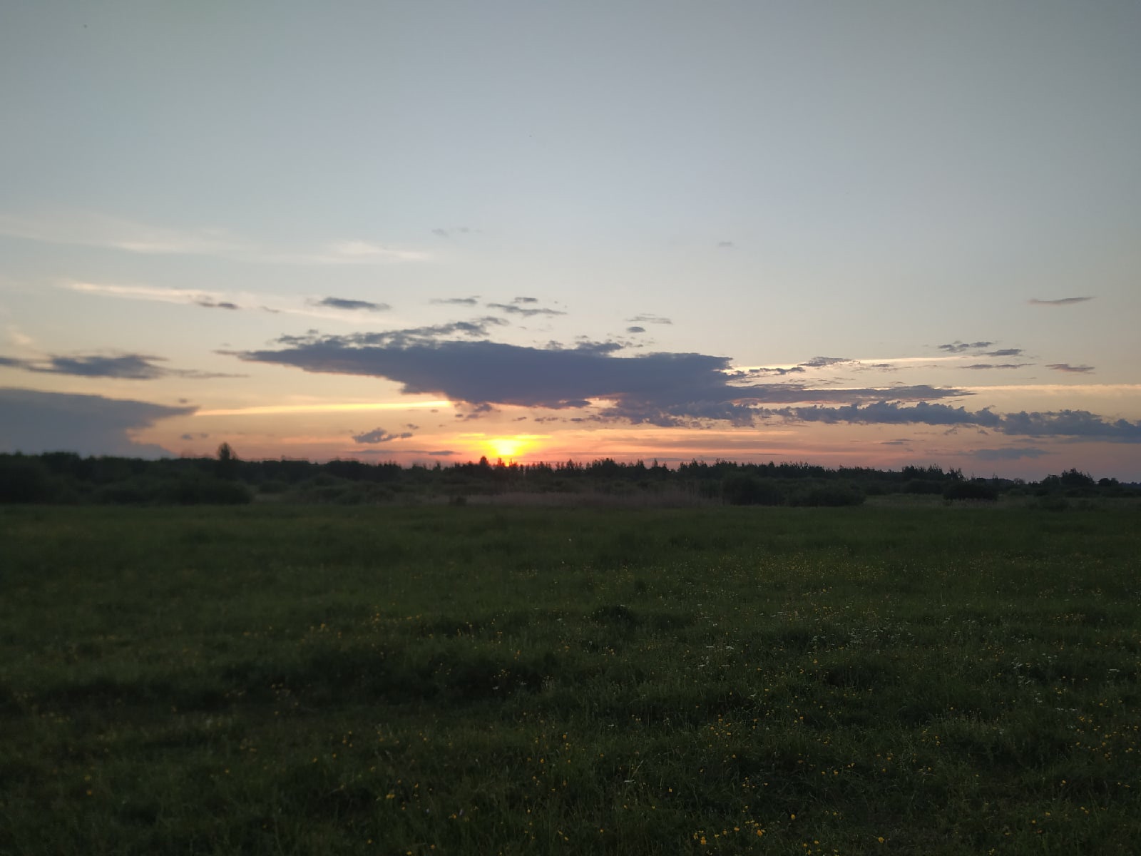 n9QXHmodcDk.jpg