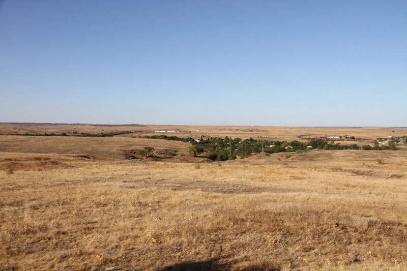 n_4354.jpg