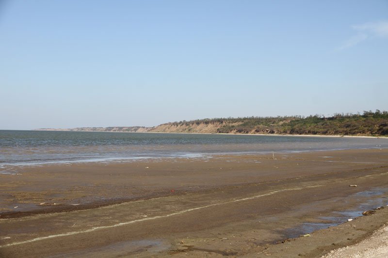 n_4448.jpg