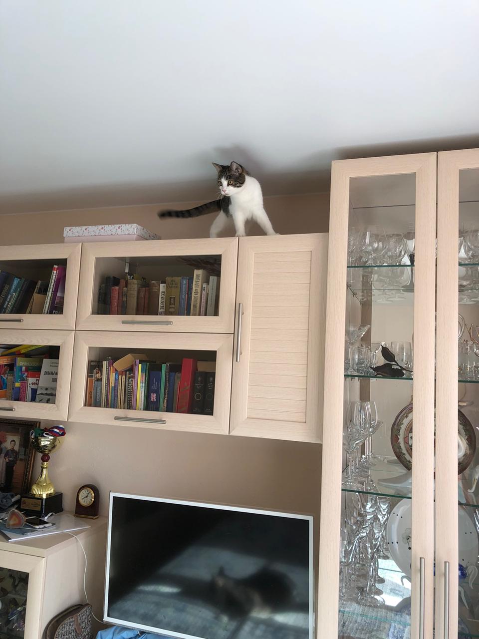 на шкафу.jpeg