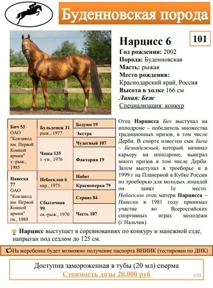 Нарцисс.jpg