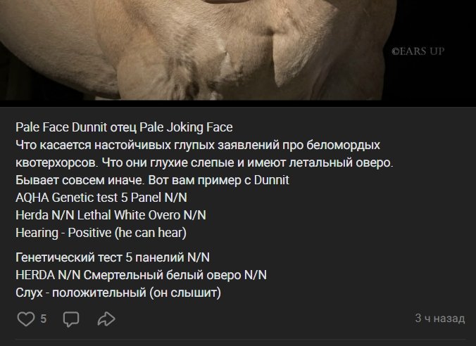 NBgiWM9ihXeNyAl57hNg-hr5OKmGoowGUtTFeCdlMn1Xazgor_FQqsUoj1xQSOXjlC4snEqb6KxVyEquUY6LPZ3d.jpg