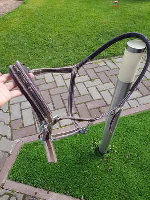 недоуздок эскадрон.jpg