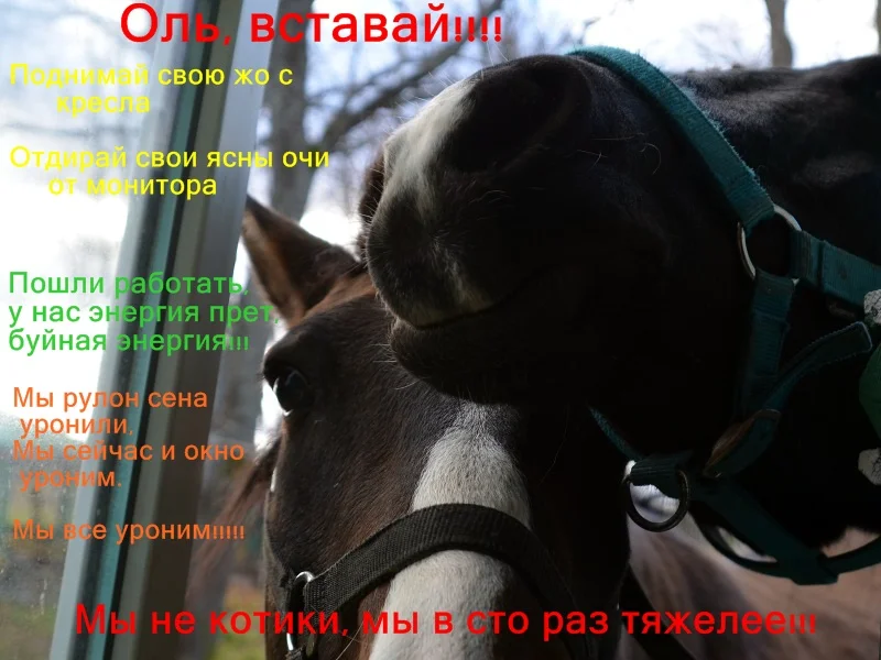 NeWSi52Gkr6eJdsB6Wzr0rEEZjIDLzEzto9_dDQDm7ElbQ4hqsGU8scf5in-PF9ys6exKBrIadeNz9xetOK4mJqXbjIvRQ.webp