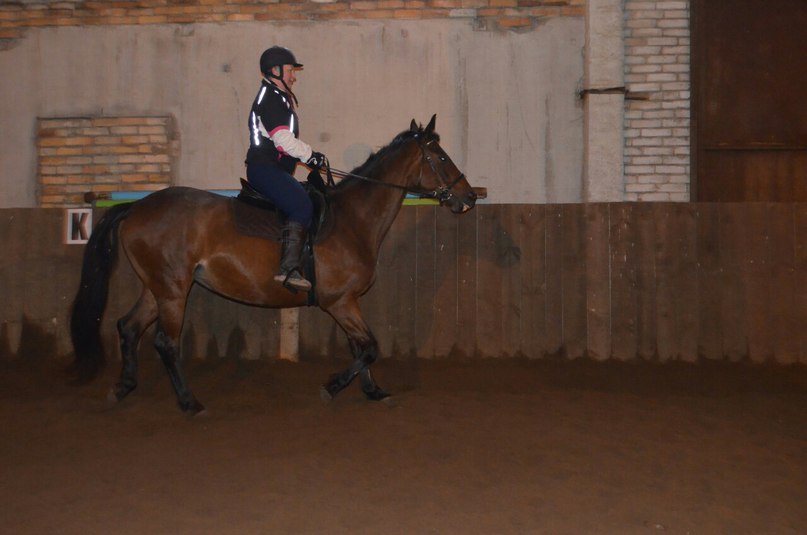 ноябрь 15 -1.jpg