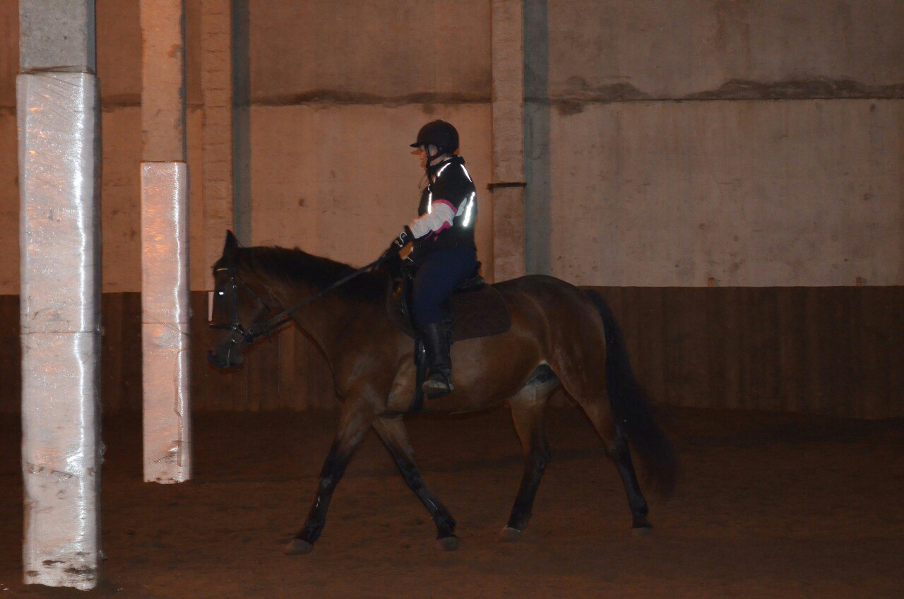 ноябрь 15 1рысь.jpg