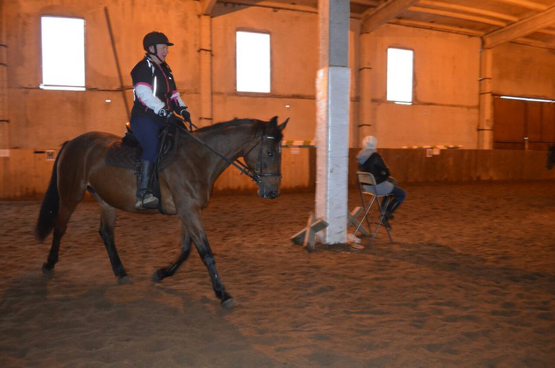 ноябрь 15 2.jpg