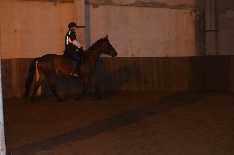 ноябрь 15 -2.jpg