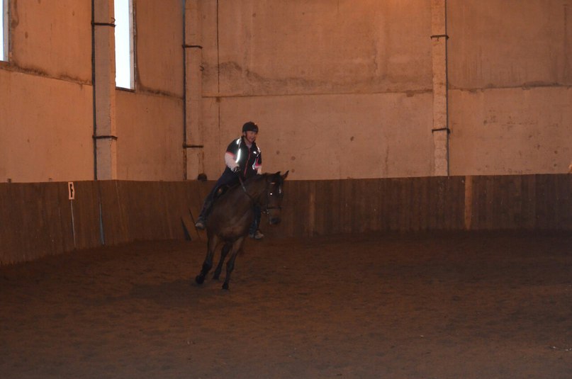 ноябрь 15 3.jpg