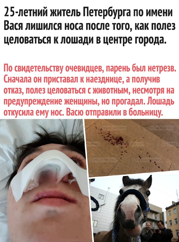 нос.jpg