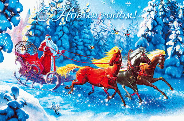 nyhorses03.jpg